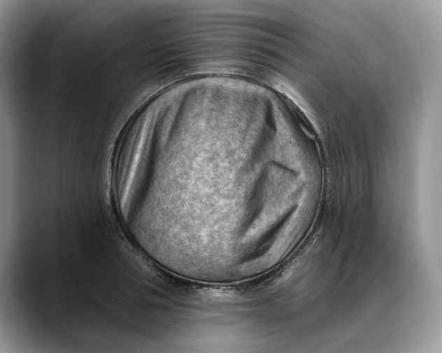 X0000088410994200706121411