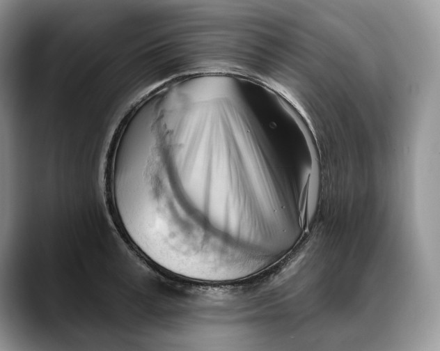 X0000088410995200706121411