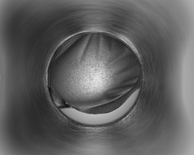 X0000088410996200706121411