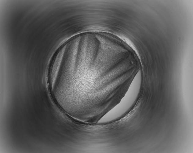 X0000088410997200706121411