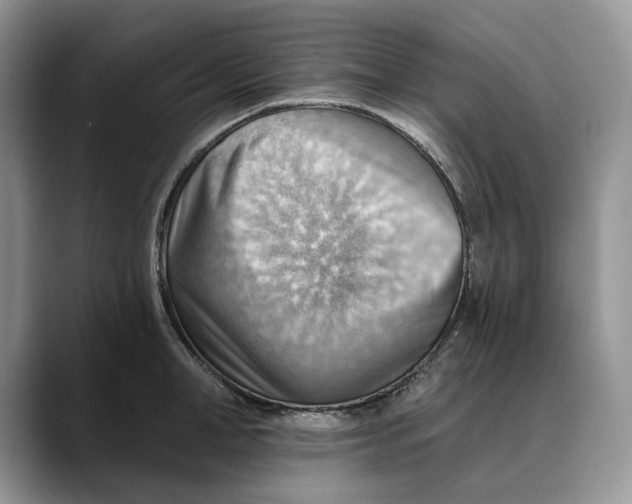 X0000088410998200706121411