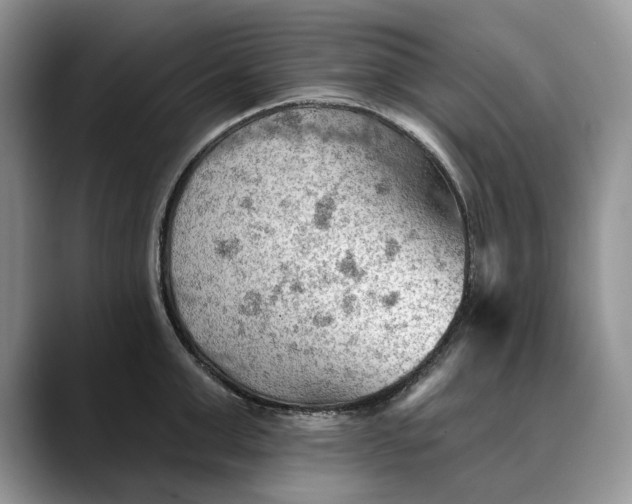 X0000088410999200706121411