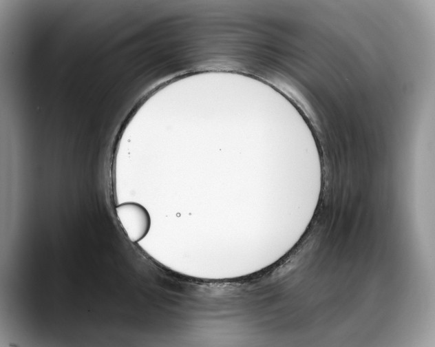 X0000088411000200706121411