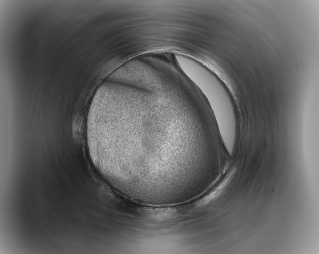 X0000088411001200706121411