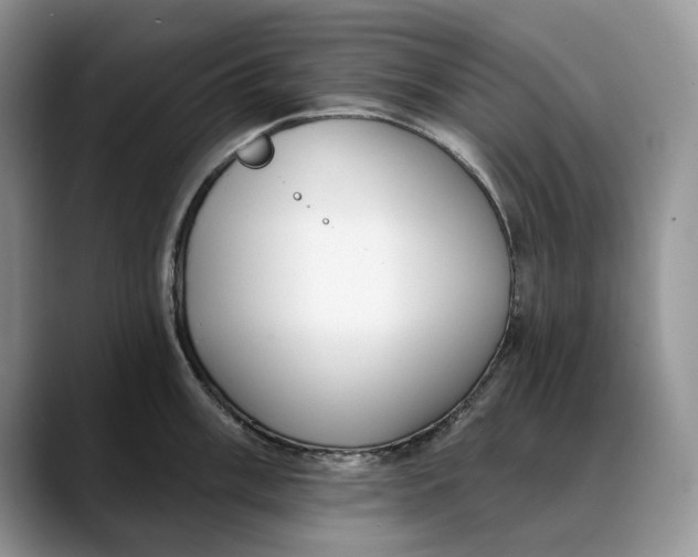 X0000088411003200706121411