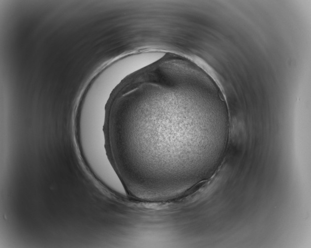 X0000088411005200706121411