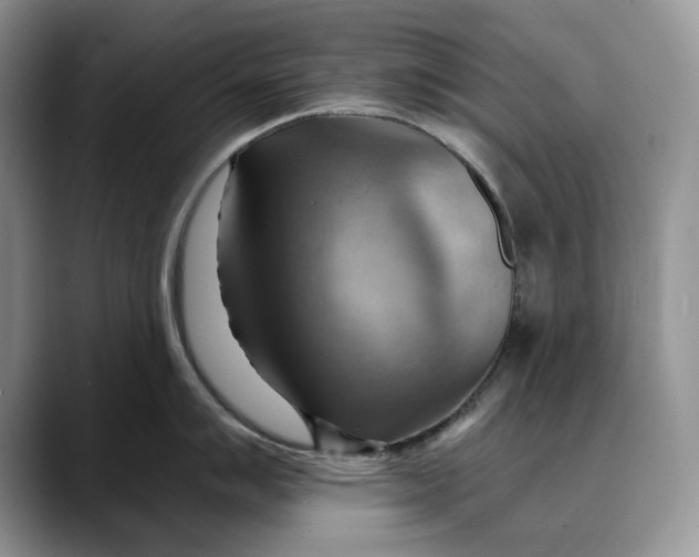 X0000088411007200706121411