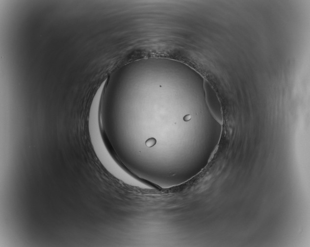 X0000088411010200706121410