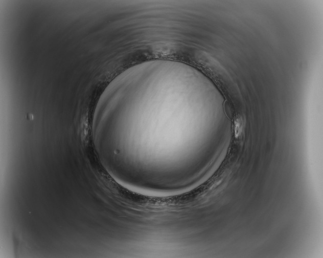 X0000088411011200706121410