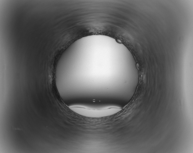 X0000088411012200706121410