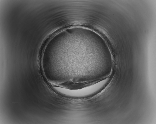 X0000088411018200706121410