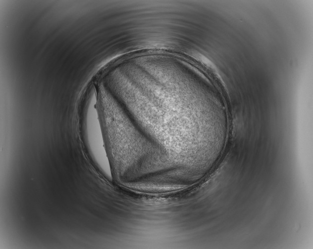 X0000088411019200706121410