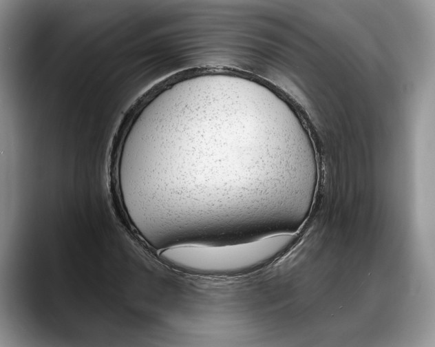 X0000088411020200706121410