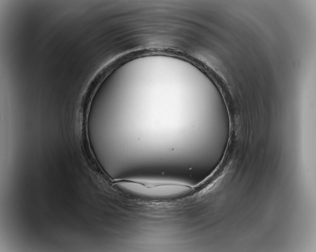 X0000088411021200706121410