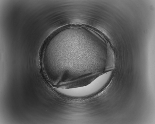 X0000088411022200706121410