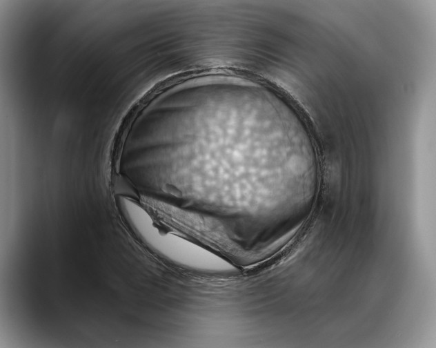 X0000088411023200706121410