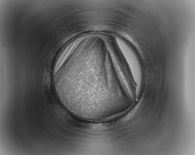 X0000088411025200706121410