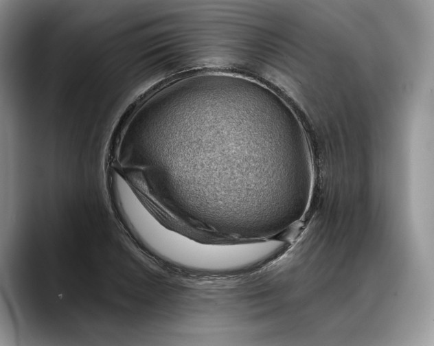 X0000088411026200706121410