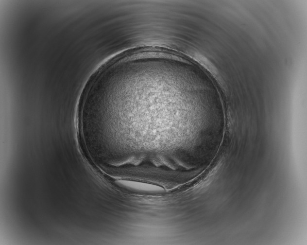 X0000088411028200706121410