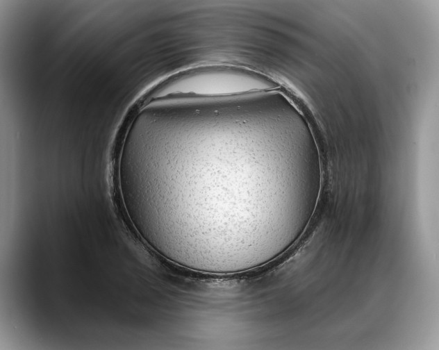 X0000088411029200706121410