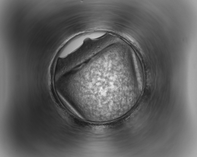 X0000088411031200706121411