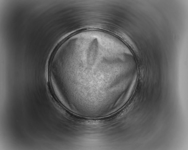 X0000088411036200706121411