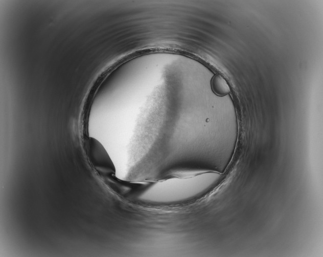 X0000088411037200706121411