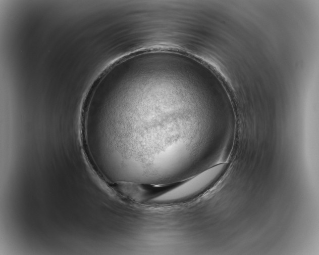 X0000088411038200706121411