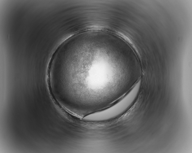 X0000088411042200706121411