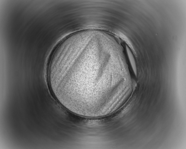 X0000088411043200706121411