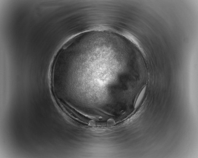 X0000088411046200706121411