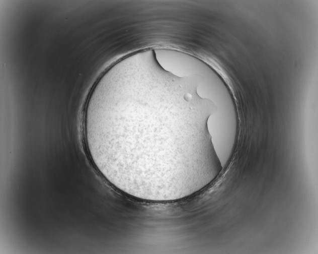 X0000088411048200706121411