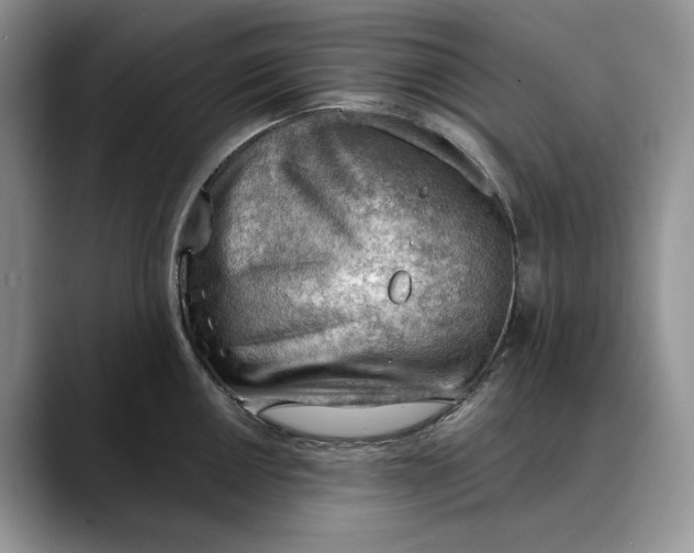 X0000088411050200706121411