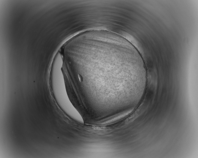 X0000088411052200706121411