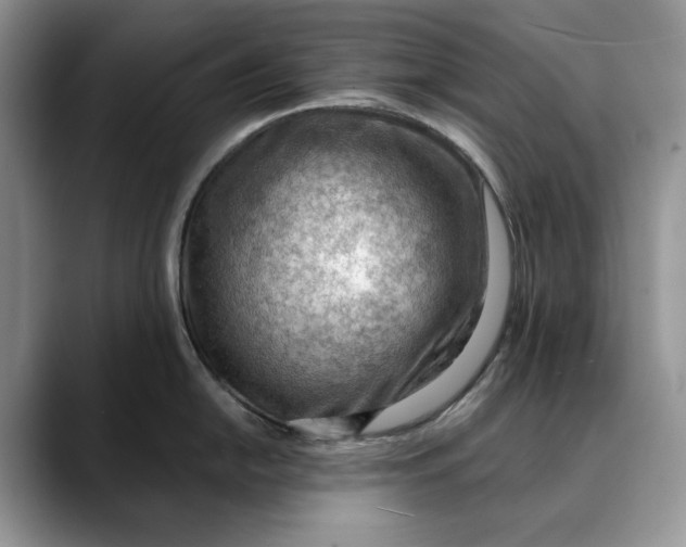 X0000088411054200706121411