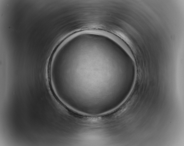 X0000088411055200706121411