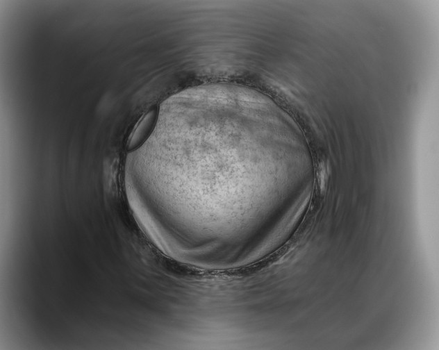 X0000088411059200706121410