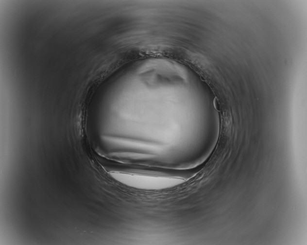 X0000088411060200706121410