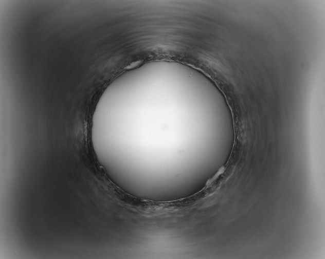 X0000088411061200706121410