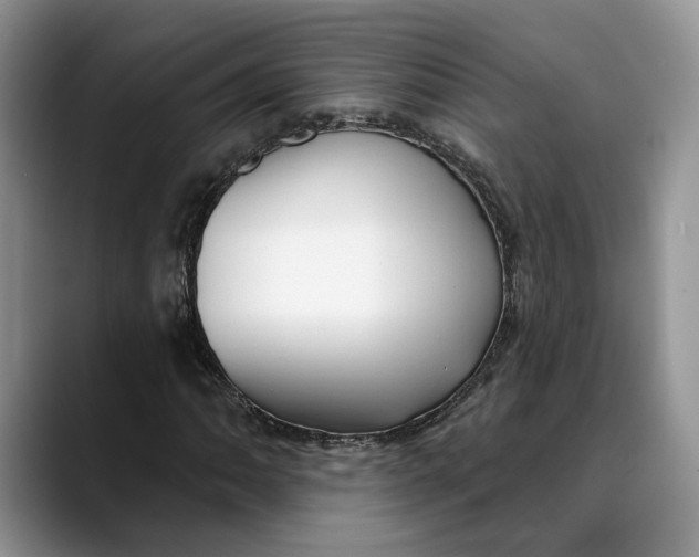 X0000088411062200706121410