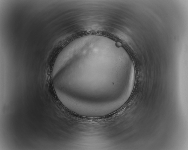 X0000088411063200706121410