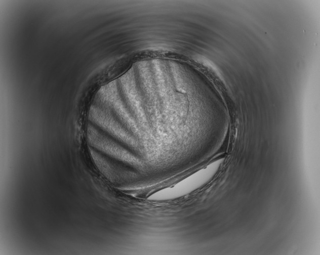 X0000088411064200706121410