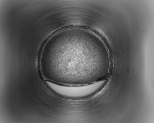 X0000088411065200706121410