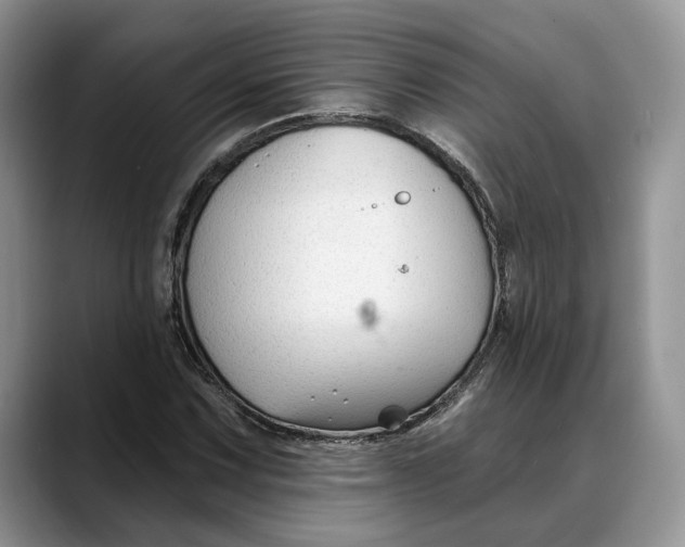 X0000088411067200706121410