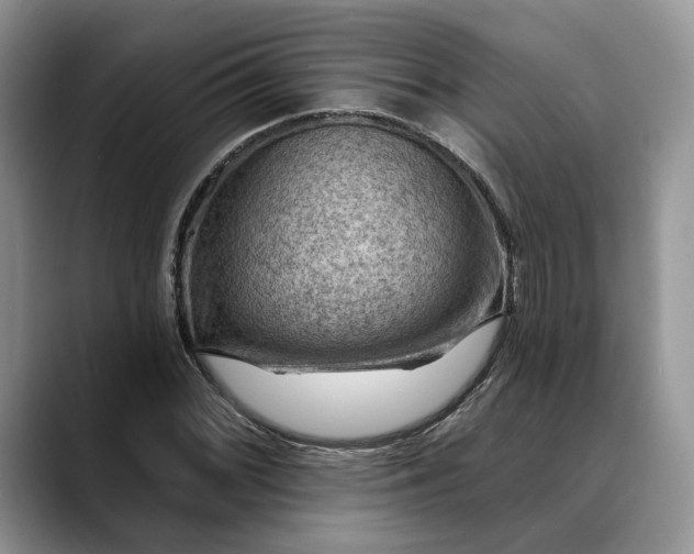 X0000088411068200706121410