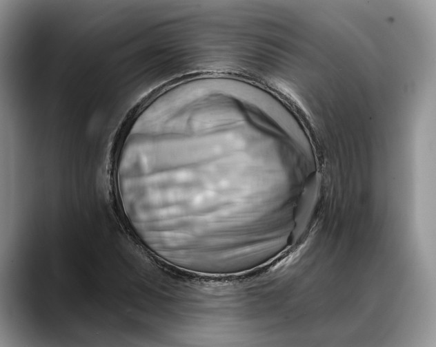 X0000088411071200706121410