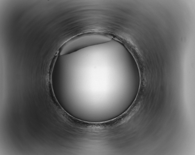 X0000088411073200706121410