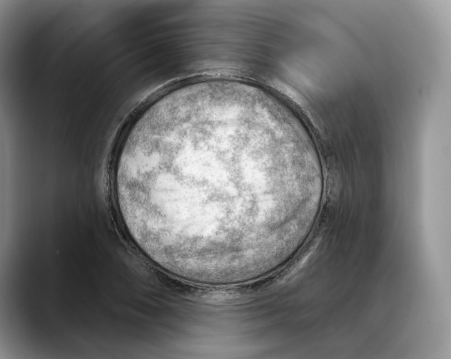 X0000088411074200706121410