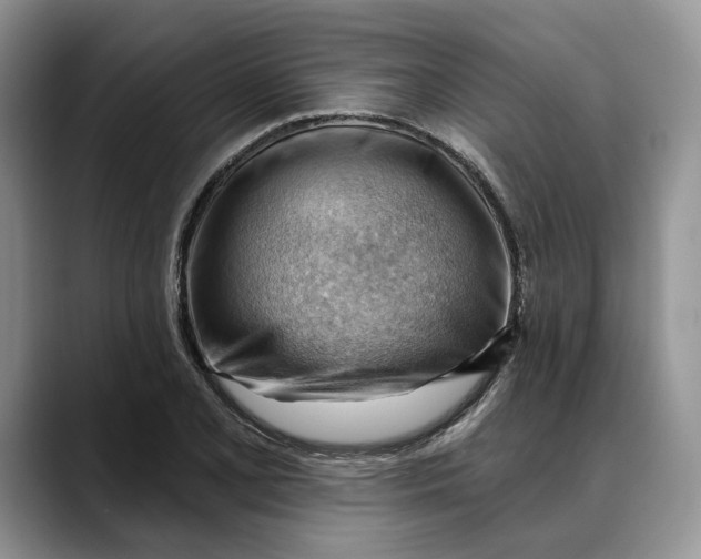 X0000088411077200706121410