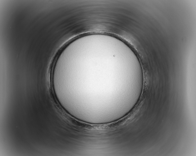 X0000088411078200706121410